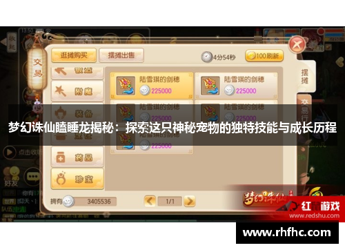 梦幻诛仙瞌睡龙揭秘：探索这只神秘宠物的独特技能与成长历程